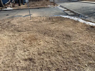 after: stump on intersection