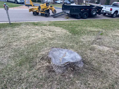 before: stump on intersection