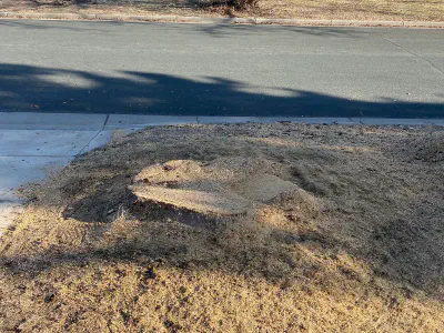 before: stump on intersection